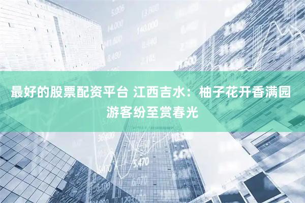最好的股票配资平台 江西吉水：柚子花开香满园 游客纷至赏春光